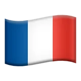 France flag - ChatPro AI user